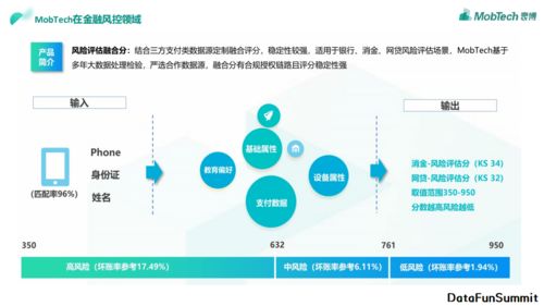 陈远光实践数据治理一体化架构于mobtech金融风控场景的数据处理