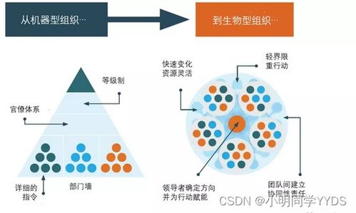 数据治理之道 构建敏捷治理组织与高效数据处理机制