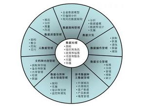 大数据治理的五个核心要素 数据处理的关键维度